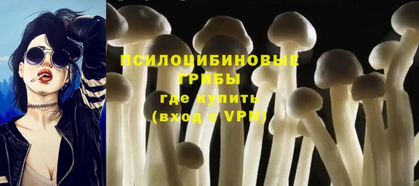 PSILOCYBIN Алексин