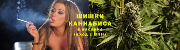PSILOCYBIN Алексин