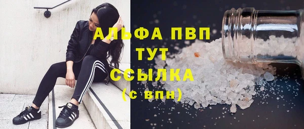 спиды Алзамай
