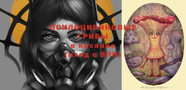 PSILOCYBIN Алексин